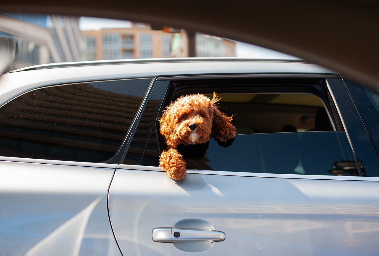 Car Window Tinting Gold Coast QLD